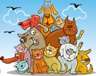 Cuento de animales sobre el orden